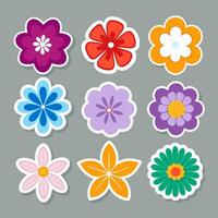 Various Colorful Flower Stickers Arranged on a Solid Gray Background vector