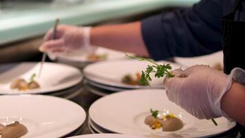 chef decorates with parsley leaves many identical portions of mushroom pate in molecular cuisine work with tweezers neat work video