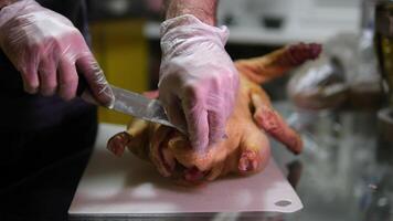 butcher a goose process of cutting up a goose Step by step getting the liver and navel out of the carcass of a tasty duck men's hands in gloves cutting up the catch cooking dinner recipe video