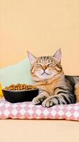 cat lounging comfortably next to bowl of premium pet food, enjoying relaxed moment. cozy setting features soft cushion and cheerful background photo