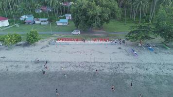Aerial View of a Vibrant Beach Scene with People Enjoying the Shoreline at Patunungan video