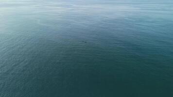 Serene Aerial View of Tranquil Ocean Waters with Small Figures Floating in the Distance video