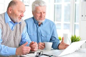 Portrait of two elderly men working on laptop in office photo