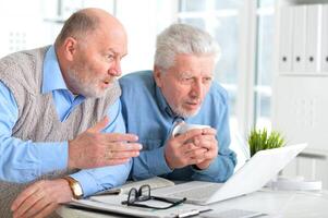 Portrait of two elderly men working on laptop in office photo
