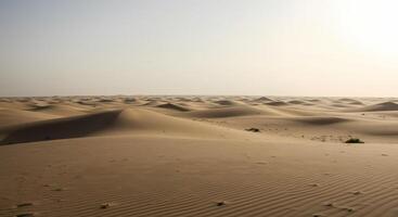 The desert is full of sand dunes and the sun is shining photo