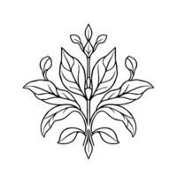 Symmetrical Botanical Illustration Minimalist, , and Ornamental Line Art Depicting Leaves and Bud Arrangement in Black and White. vector