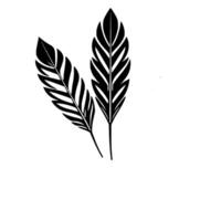 Simple Illustration Three Stylized Feathers in Black, Gray, and White, Minimalist , Focus on Shape. vector