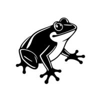 Stylized Black and White Illustration of a Frog in a SideView Pose on a White Background vector
