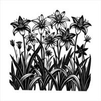 Lobelia flower outline black vector