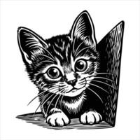 Kitty Peeking From Behind Object vector