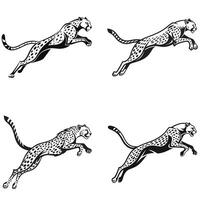 Agile Hunter Dynamic Cheetah Silhouettes in Action vector