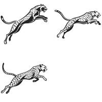 Swift and Strong Cheetah Silhouettes in Motion vector