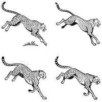 Racing Shadows Dynamic Cheetah Silhouettes vector