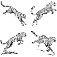 Power and Agility Cheetah Silhouettes in Action vector