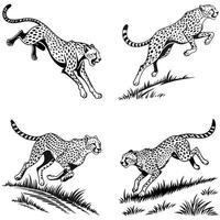 Dynamic Cheetah Silhouettes Speed and Power in Motion vector