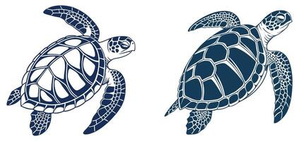 Turtles Flowing in Timeless Motion vector