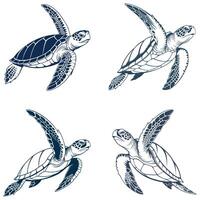 Turtles in Motion Timelessly vector