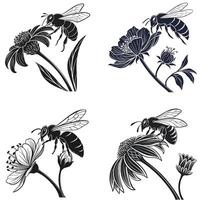 Blossom and Bee Connection vector