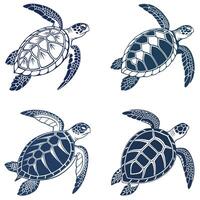 Turtles Gliding in Timeless Motion vector