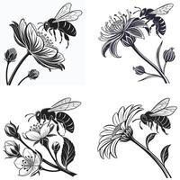 Bee and Blossom Unity vector