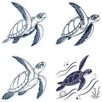 Graceful Timeless Turtles in Motion vector