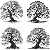 Mystical Rooted Elegance vector
