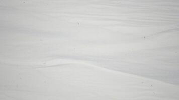 Paper Texture Noise, grain and dust Animated Stop Motion Background and Overlay Loop video
