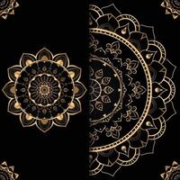 The Intricate gold mandala design on a black background and detailed patterns vector