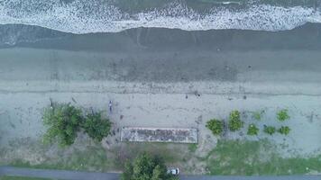 Aerial View of Serene Beach with Soft Waves, Sandy Shoreline, and Tranquil Greenery video