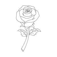 line drawing of rose icon in silhouette on a white background. Linear stylized. vector