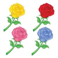 Set of four colorful roses isolated on white background. illustration. vector