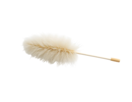 Feather brush isolated on transparent background png