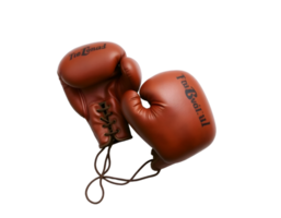Pair of Boxing Gloves Isolated Transparent Background png