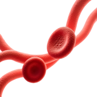 red blood cells and blood flow on a transparent bg png