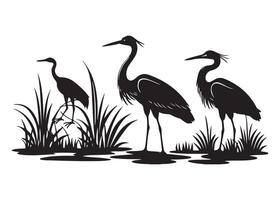 Tri-Colored Heron in the Delta vector