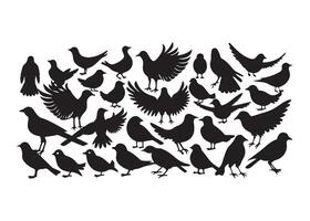 Flock of Birds Silhouette vector