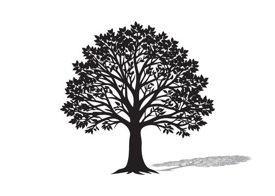 Black silhouette of oak tree with leaves and visible roots