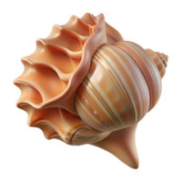 vibrant rustic serene traditional A close-up of a seashell, intricate patterns, soft light, still life photography style authentic professional png
