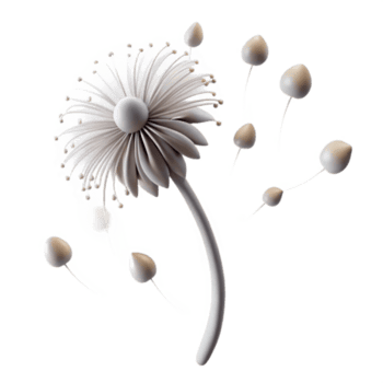 magnífico rústico uma solteiro dente de leão semente cabeça com sementes sopro dentro a vento, delicado e etéreo, minimalista composição, suave iluminação, monocromático detalhado png