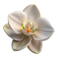 serene creative vibrant modern A single blooming white orchid, soft diffused light, intricate details, botanical illustration style, premium exclusive png