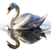stunning minimalist elegant traditional A graceful swan gliding across a still lake, reflections shimmering on the water's surface, serene and peaceful atmosphere, impressionistic style genuine... png
