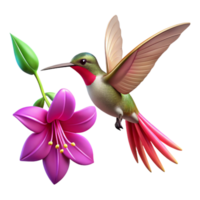 stunning traditional A hummingbird hovering near a vibrant fuchsia flower, captured mid flight, with a bokeh effect, nature photography style high quality png