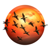 wonderful abstract A flock of migrating birds silhouetted against a fiery sunset sky, in a dynamic, action packed style authentic png