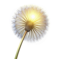 elegant creative A single dandelion seed head, backlit by a bright light, delicate and ethereal, macro photography style original png
