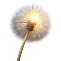 stunning contemporary A single dandelion seed head, backlit by a bright light, delicate and ethereal, macro photography style premium png