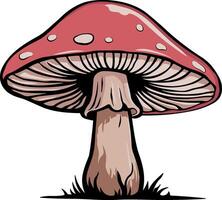 illustration of a mushroom or fly agaric mushroom without background vector