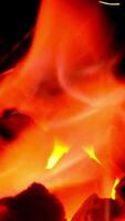fire design animation isolated background video
