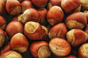 Close-up view of organic raw hazelnuts in shells. Pile of unprocessed fresh hazelnuts in shells. Healthy vegan food ingredient. Eco-friendly natural food photography. Sustainable agriculture product photo