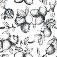 Seamless pattern of walnut branches. background with kernels, leaves and nut skin. Engraving style illustration. Design for packaging, wallpaper, kitchen textile. Hand drawn ink sketch. vector