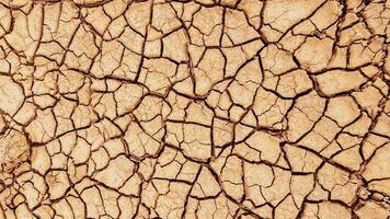 Cracked Earth Texture Showing Effects of Drought and Climate Change in Arid Desert Environment photo